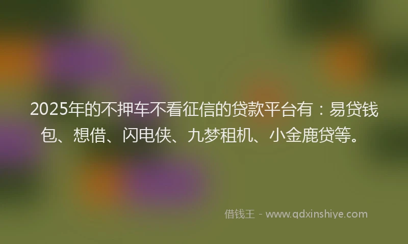 2025年的不押车不看征信的贷款平台有：易贷钱包、想借、闪电侠、九梦租机、小金鹿贷等。