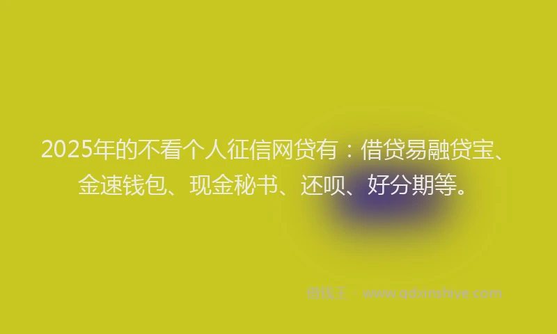 2025年的不看个人征信网贷有:借贷易融贷宝、金速钱包、现金秘书、还呗、好分期等。