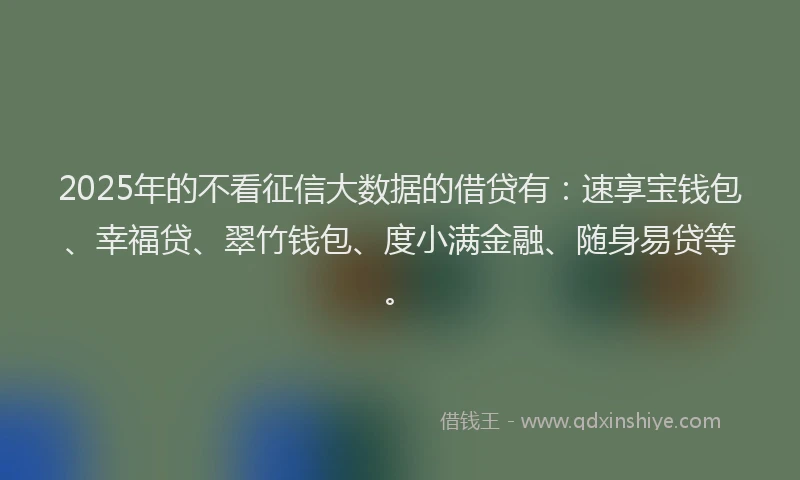 2025年的不看征信大数据的借贷有:速享宝钱包、幸福贷、翠竹钱包、度小满金融、随身易贷等。