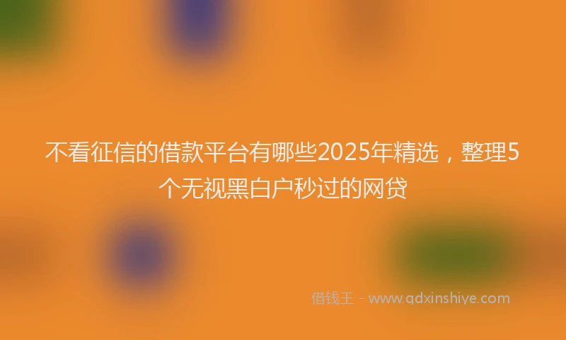 不看征信的借款平台有哪些2025年精选，整理5个无视黑白户秒过的网贷