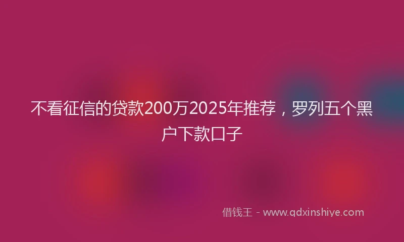不看征信的贷款200万2025年推荐，罗列五个黑户下款口子