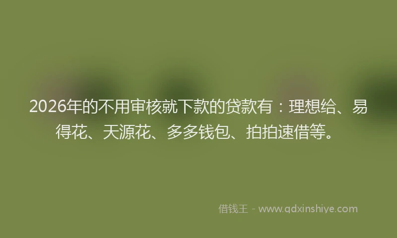 2026年的不用审核就下款的贷款有：理想给、易得花、天源花、多多钱包、拍拍速借等。