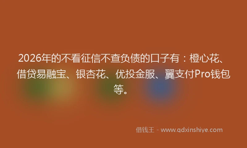 2026年的不看征信不查负债的口子有：橙心花、借贷易融宝、银杏花、优投金服、翼支付Pro钱包等。