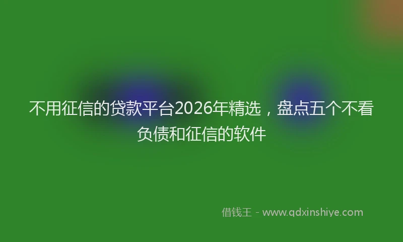 不用征信的贷款平台2026年精选,盘点五个不看负债和征信的软件