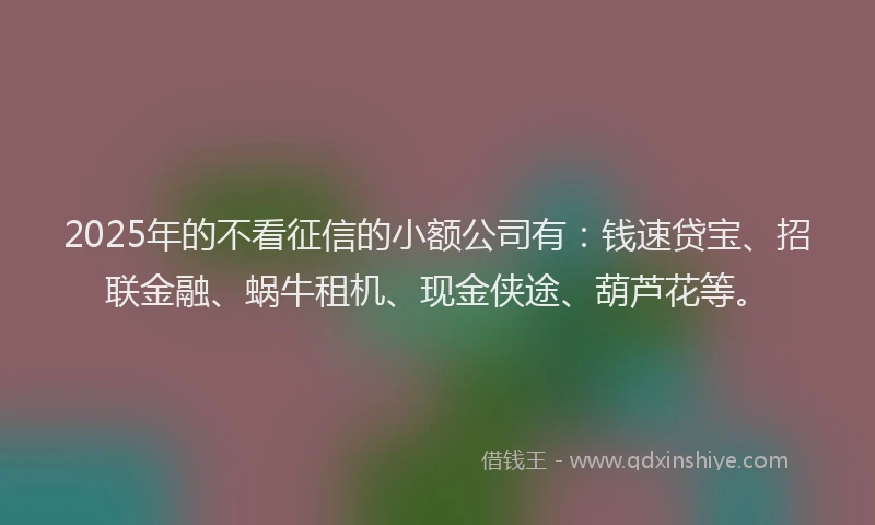 2025年的不看征信的小额公司有：钱速贷宝、招联金融、蜗牛租机、现金侠途、葫芦花等。