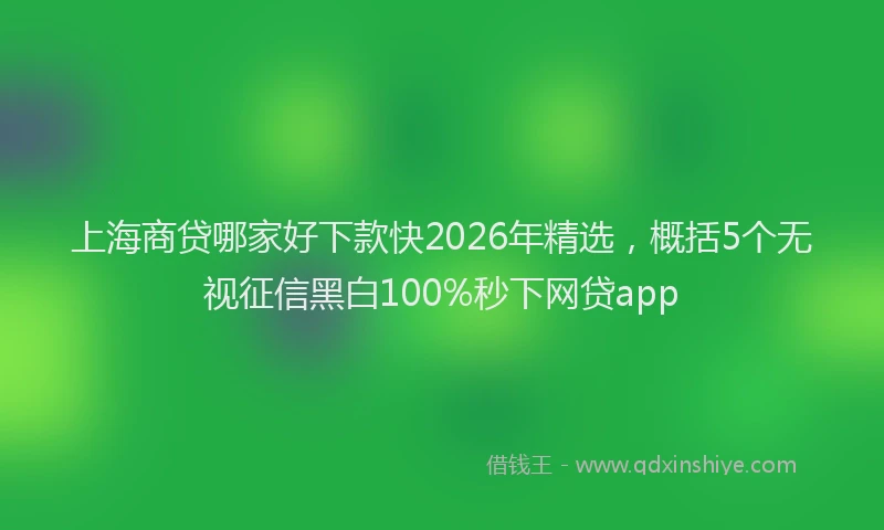上海商贷哪家好下款快2026年精选，概括5个无视征信黑白100%秒下网贷app