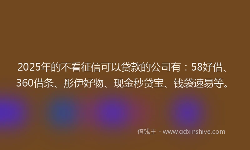 2025年的不看征信可以贷款的公司有：58好借、360借条、彤伊好物、现金秒贷宝、钱袋速易等。