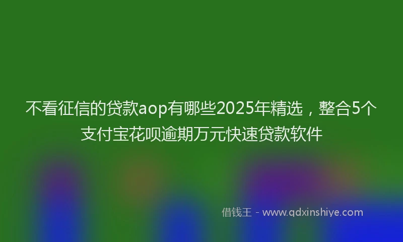 不看征信的贷款aop有哪些2025年精选，整合5个支付宝花呗逾期万元快速贷款软件