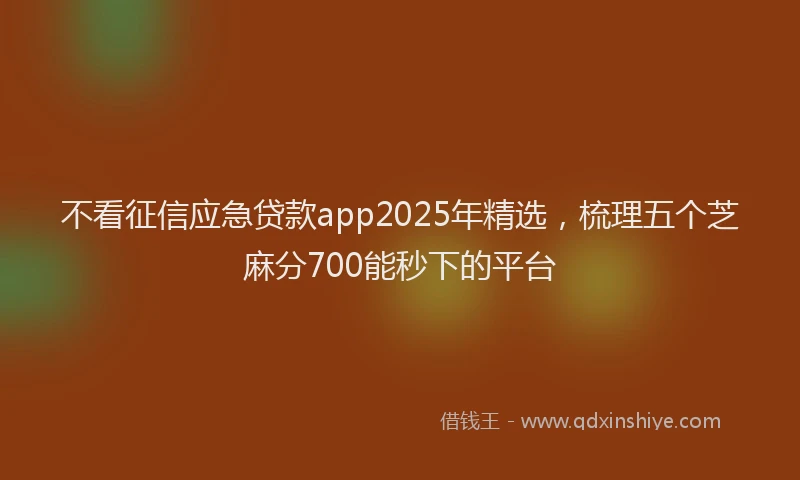 不看征信应急贷款app2025年精选，梳理五个芝麻分700能秒下的平台
