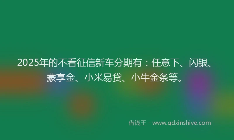 2025年的不看征信新车分期有：任意下、闪银、蒙享金、小米易贷、小牛金条等。