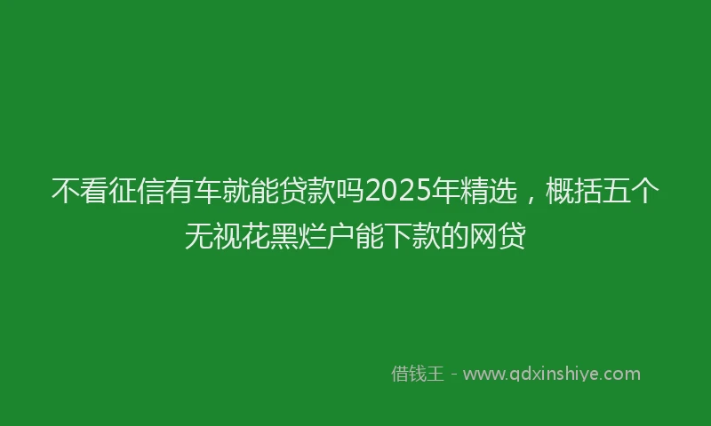 不看征信有车就能贷款吗2025年精选，概括五个无视花黑烂户能下款的网贷