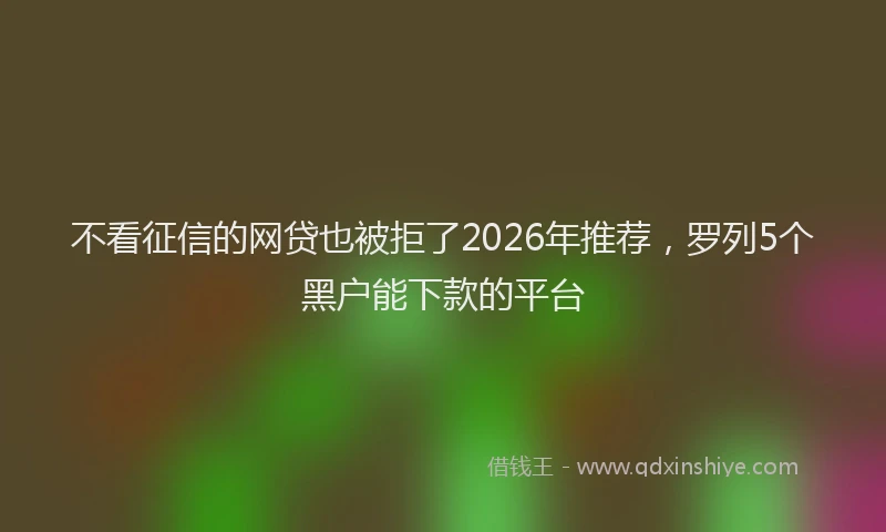 不看征信的网贷也被拒了2026年推荐,罗列5个黑户能下款的平台