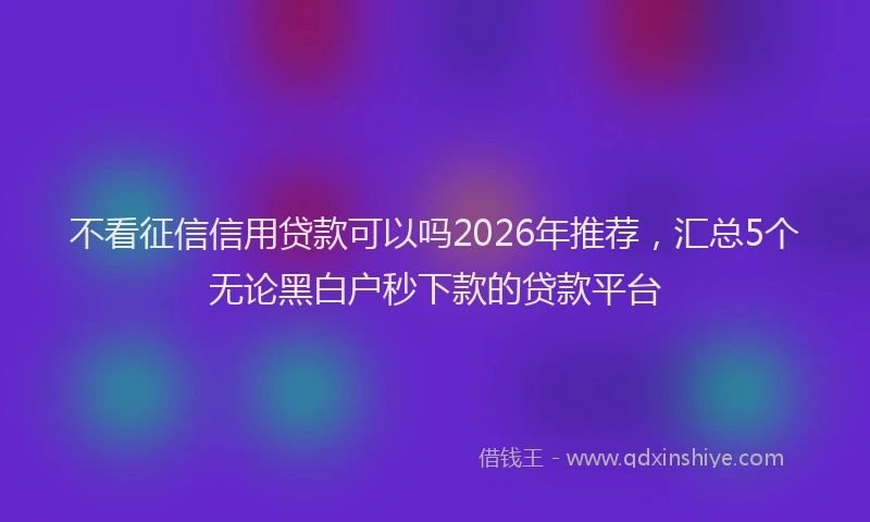 不看征信信用贷款可以吗2026年推荐，汇总5个无论黑白户秒下款的贷款平台