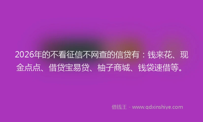 2026年的不看征信不网查的信贷有：钱来花、现金点点、借贷宝易贷、柚子商城、钱袋速借等。