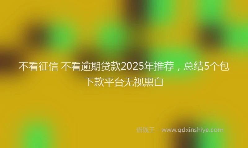 不看征信 不看逾期贷款2025年推荐,总结5个包下款平台无视黑白