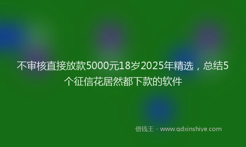 不审核直接放款5000元18岁2025年精选，总结5个征信花居然都下款的软件
