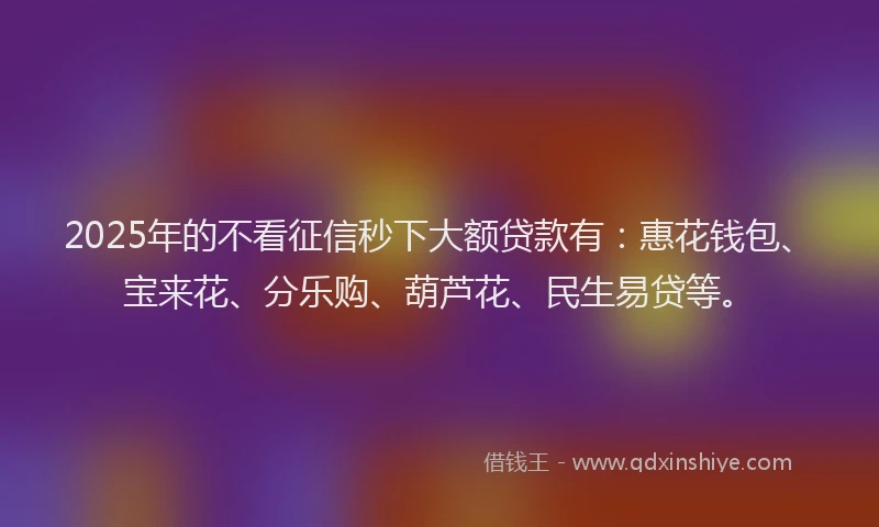 2025年的不看征信秒下大额贷款有:惠花钱包、宝来花、分乐购、葫芦花、民生易贷等。