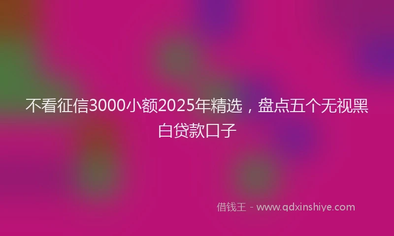 不看征信3000小额2025年精选，盘点五个无视黑白贷款口子