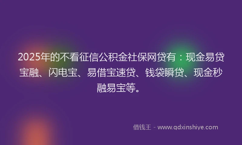 2025年的不看征信公积金社保网贷有：现金易贷宝融、闪电宝、易借宝速贷、钱袋瞬贷、现金秒融易宝等。