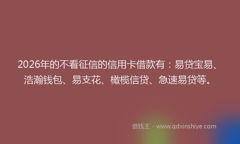 2026年的不看征信的信用卡借款有：易贷宝易、浩瀚钱包、易支花、橄榄信贷、急速易贷等。