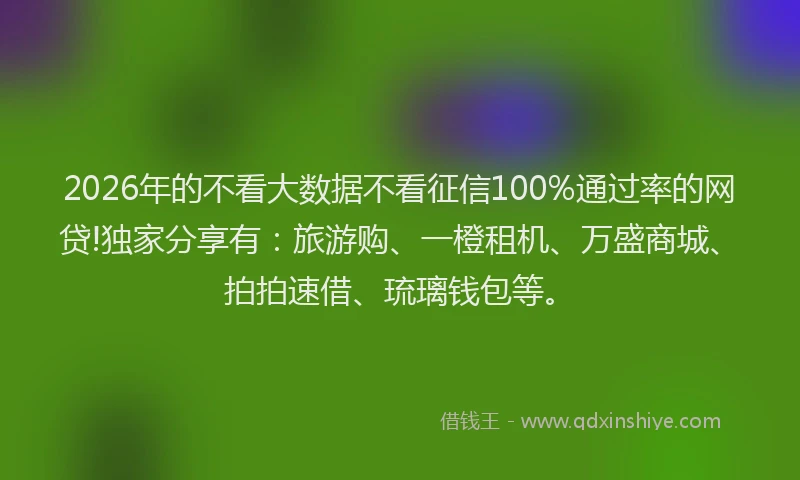 2026年的不看大数据不看征信100%通过率的网贷!独家分享有:旅游购、一橙租机、万盛商城、拍拍速借、琉璃钱包等。