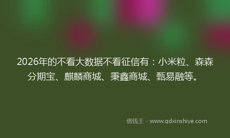 2026年的不看大数据不看征信有：小米粒、森森分期宝、麒麟商城、秉鑫商城、甄易融等。