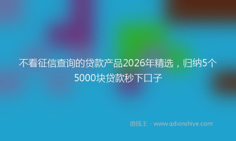 不看征信查询的贷款产品2026年精选，归纳5个5000块贷款秒下口子