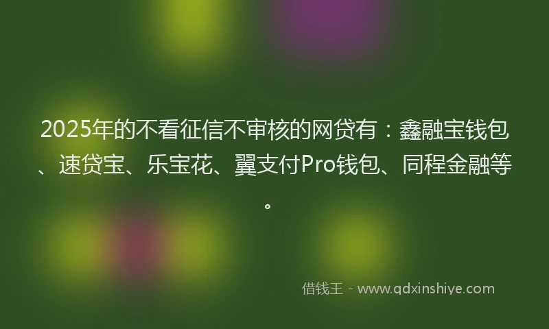 2025年的不看征信不审核的网贷有：鑫融宝钱包、速贷宝、乐宝花、翼支付Pro钱包、同程金融等。