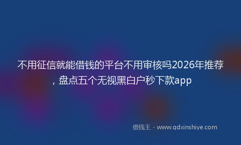 不用征信就能借钱的平台不用审核吗2026年推荐，盘点五个无视黑白户秒下款app