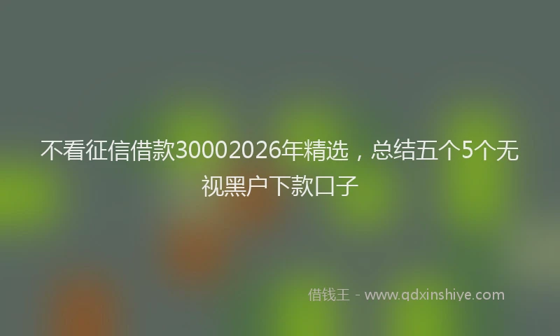 不看征信借款30002026年精选，总结五个5个无视黑户下款口子