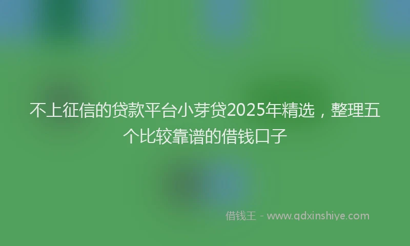 不上征信的贷款平台小芽贷2025年精选，整理五个比较靠谱的借钱口子