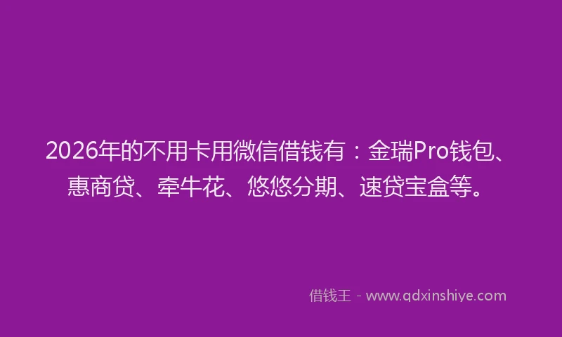 2026年的不用卡用微信借钱有:金瑞Pro钱包、惠商贷、牵牛花、悠悠分期、速贷宝盒等。