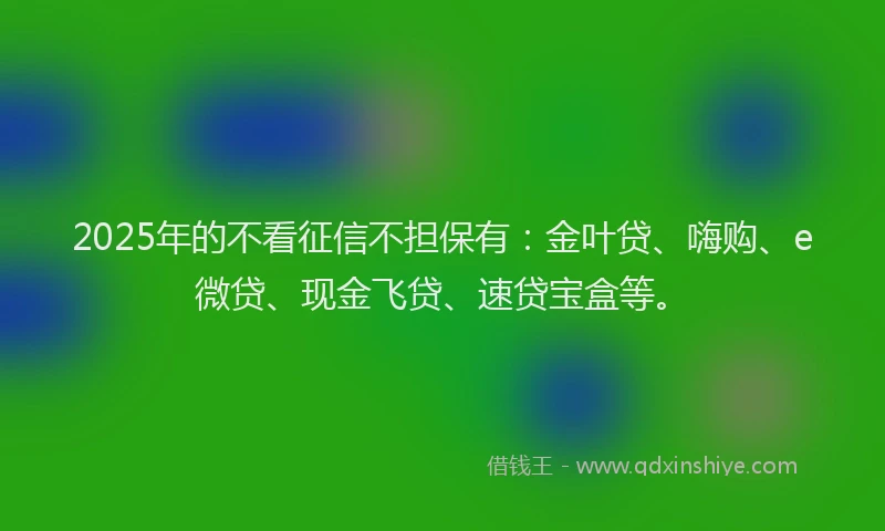 2025年的不看征信不担保有:金叶贷、嗨购、e微贷、现金飞贷、速贷宝盒等。