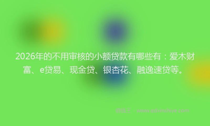 2026年的不用审核的小额贷款有哪些有:爱木财富、e贷易、现金贷、银杏花、融逸速贷等。