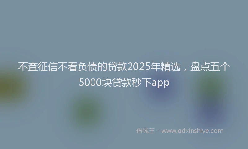 不查征信不看负债的贷款2025年精选，盘点五个5000块贷款秒下app