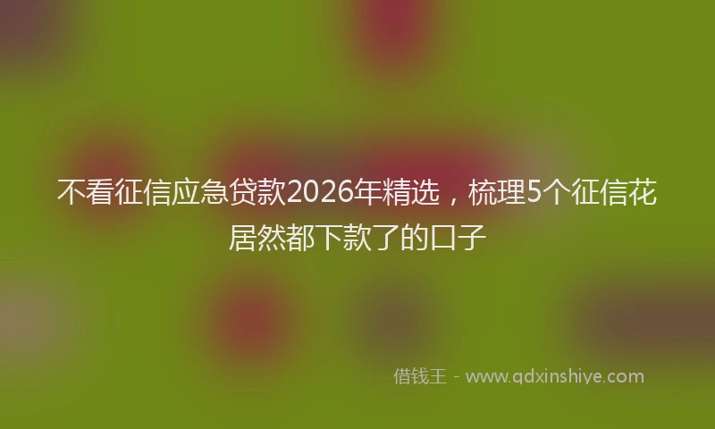 不看征信应急贷款2026年精选，梳理5个征信花居然都下款了的口子