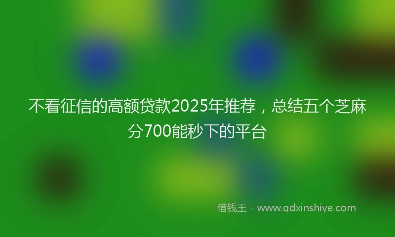 不看征信的高额贷款2025年推荐，总结五个芝麻分700能秒下的平台