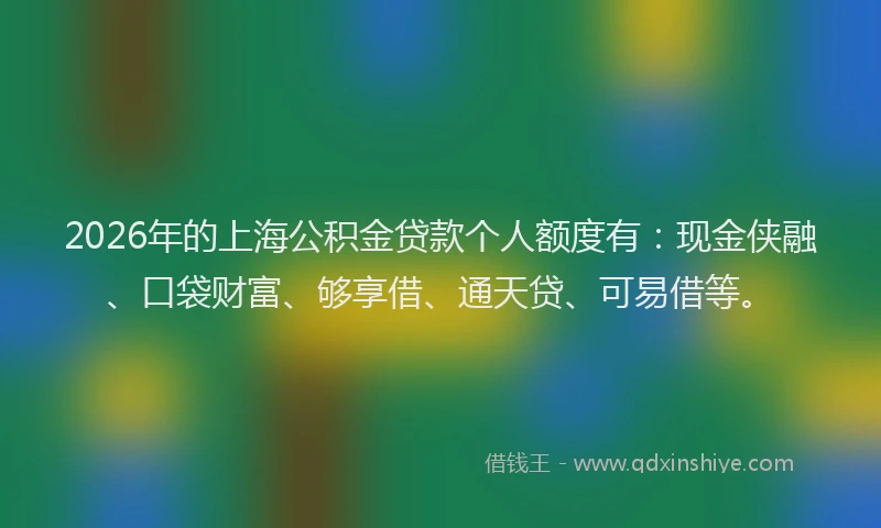 2026年的上海公积金贷款个人额度有：现金侠融、口袋财富、够享借、通天贷、可易借等。