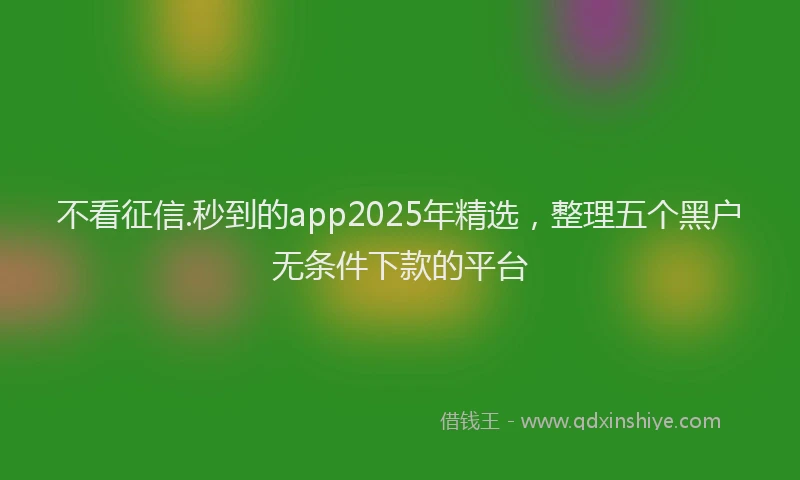 不看征信.秒到的app2025年精选，整理五个黑户无条件下款的平台