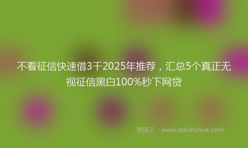 不看征信快速借3千2025年推荐，汇总5个真正无视征信黑白100%秒下网贷