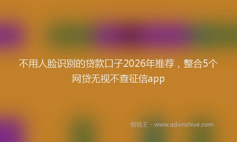 不用人脸识别的贷款口子2026年推荐，整合5个网贷无视不查征信app