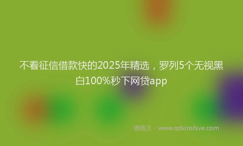 不看征信借款快的2025年精选，罗列5个无视黑白100%秒下网贷app