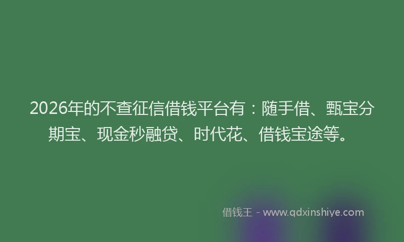 2026年的不查征信借钱平台有：随手借、甄宝分期宝、现金秒融贷、时代花、借钱宝途等。