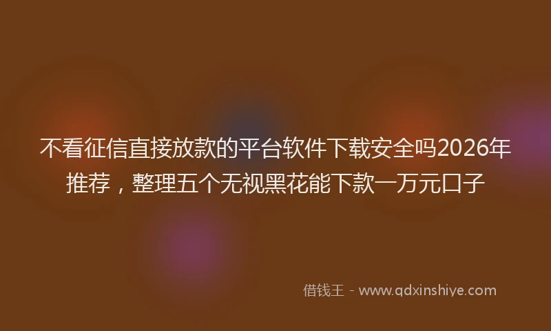 不看征信直接放款的平台软件下载安全吗2026年推荐，整理五个无视黑花能下款一万元口子