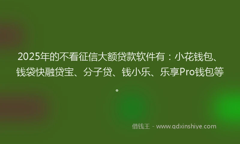 2025年的不看征信大额贷款软件有：小花钱包、钱袋快融贷宝、分子贷、钱小乐、乐享Pro钱包等。