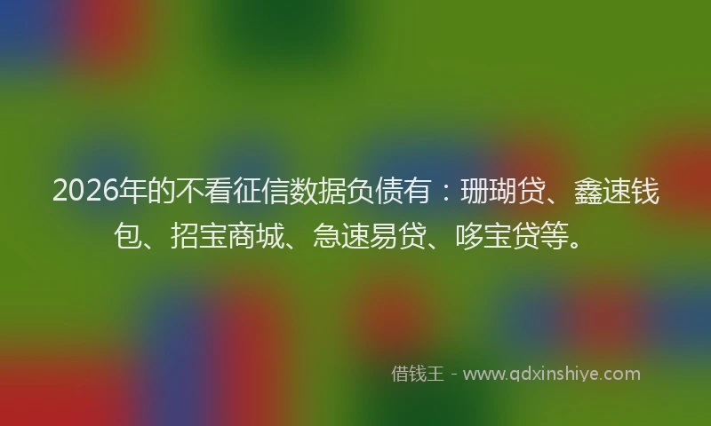 2026年的不看征信数据负债有：珊瑚贷、鑫速钱包、招宝商城、急速易贷、哆宝贷等。