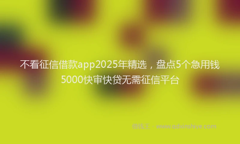 不看征信借款app2025年精选，盘点5个急用钱5000快审快贷无需征信平台