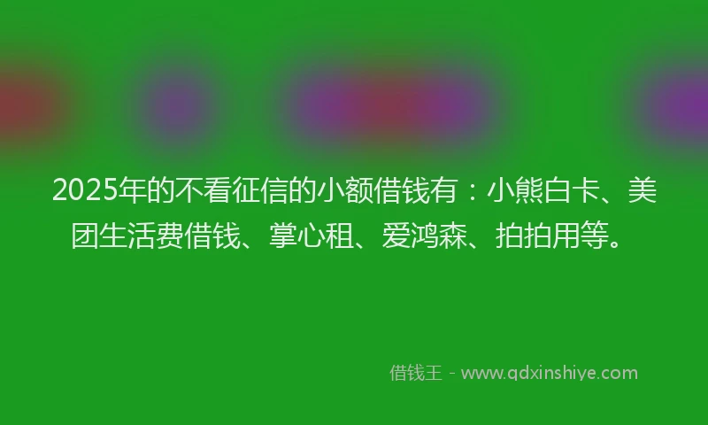 2025年的不看征信的小额借钱有：小熊白卡、美团生活费借钱、掌心租、爱鸿森、拍拍用等。