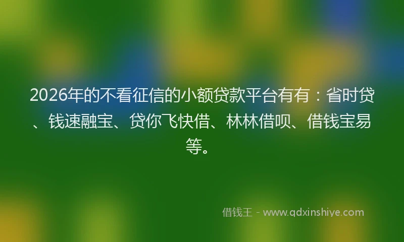 2026年的不看征信的小额贷款平台有有：省时贷、钱速融宝、贷你飞快借、林林借呗、借钱宝易等。