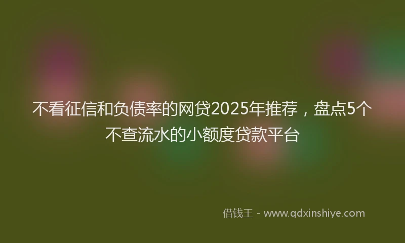 不看征信和负债率的网贷2025年推荐，盘点5个不查流水的小额度贷款平台